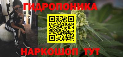 твердый Будённовск