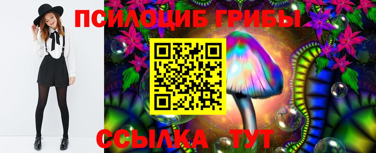 Галлюциногенные грибы MAGIC MUSHROOMS  Вход с VPN  Прохладный 